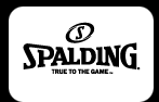 Spalding Beach Volleyball